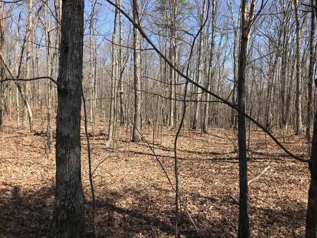 0 Greenfields Way N 13-A, Dunlap, TN 37327