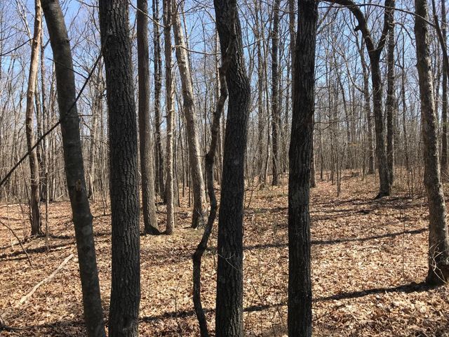 0 Greenfields Way N 13-A, Dunlap, TN 37327