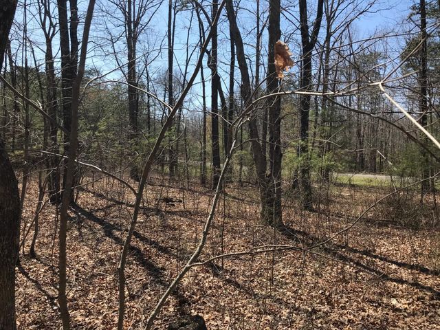 0 Greenfields Way N 13-A, Dunlap, TN 37327