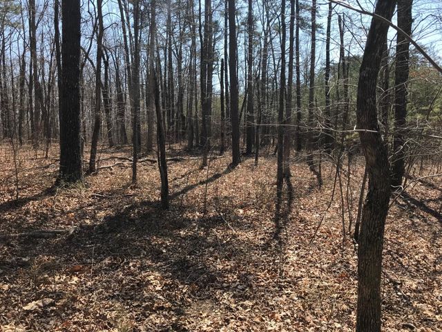 0 Greenfields Way N 13-A, Dunlap, TN 37327
