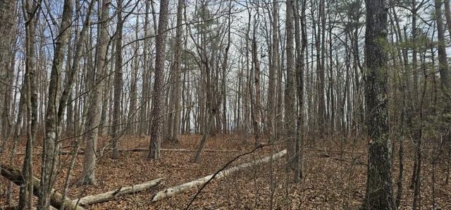 0 Greenfields Way N 13-A, Dunlap, TN 37327