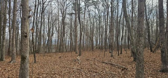 0 Greenfields Way N 13-A, Dunlap, TN 37327