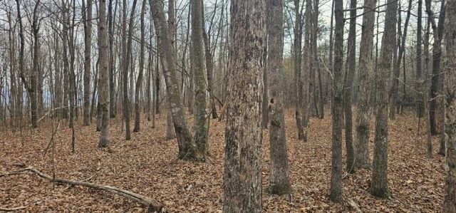 0 Greenfields Way N 13-A, Dunlap, TN 37327