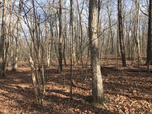 0 Greenfields Way N 13-A, Dunlap, TN 37327