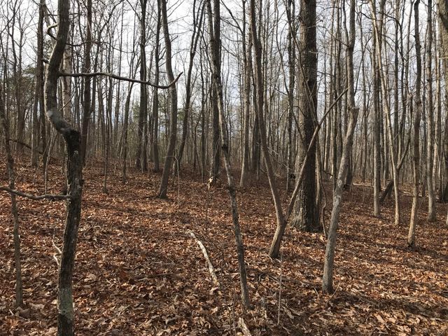 0 Greenfields Way N 13-A, Dunlap, TN 37327