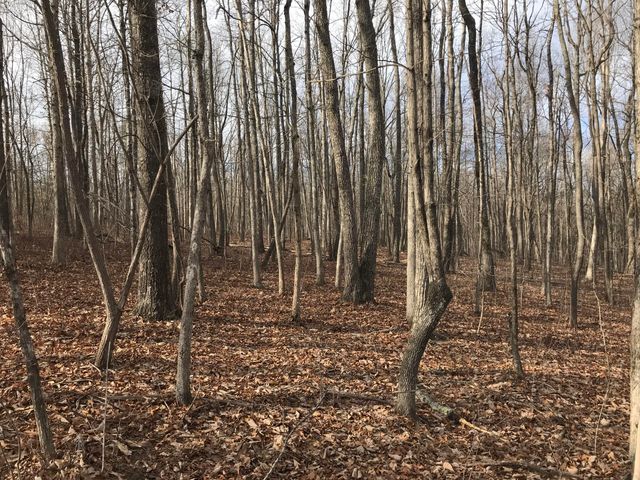 0 Greenfields Way N 13-A, Dunlap, TN 37327
