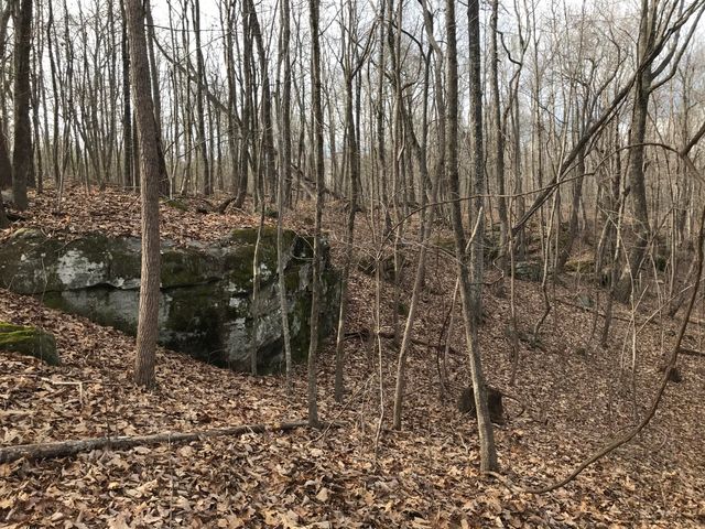 0 Greenfields Way N 13-A, Dunlap, TN 37327