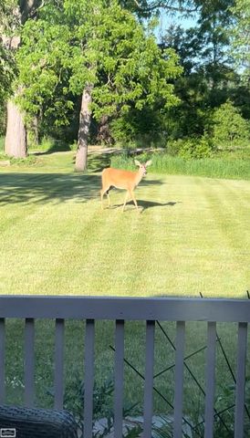 10206 S State Road, Goodrich, MI 48438