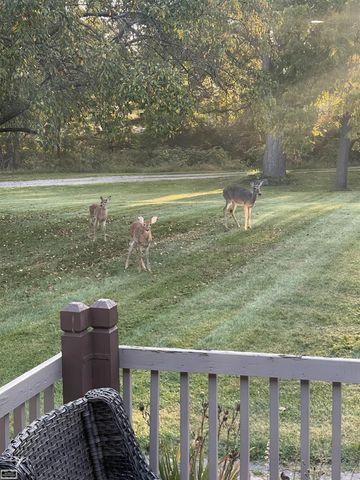 10206 S State Road, Goodrich, MI 48438