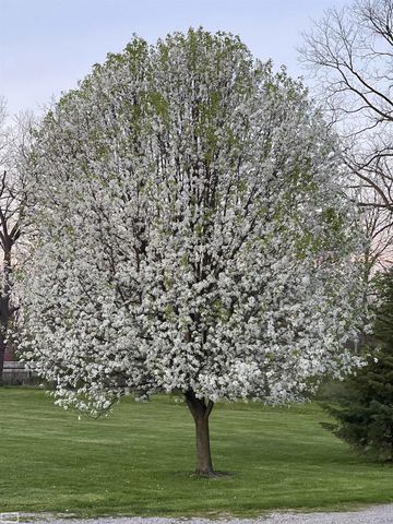 10206 S State Road, Goodrich, MI 48438