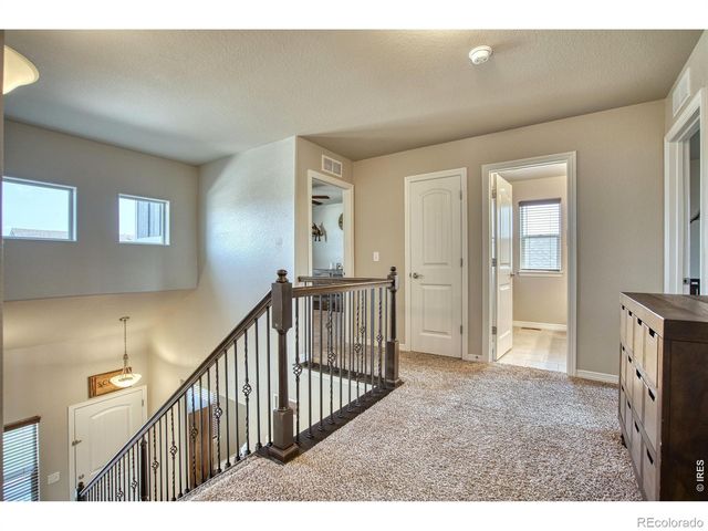 1866 Egnar Street, Loveland, CO 80538