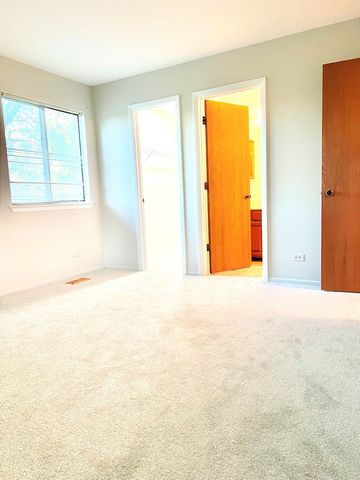 601 Hanover Court Z1, Schaumburg, IL 60194