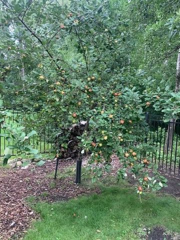 1020 Fernbrook Lane N, Plymouth, MN 55447