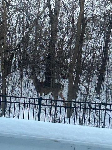 1020 Fernbrook Lane N, Plymouth, MN 55447