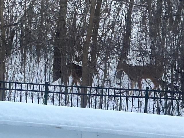 1020 Fernbrook Lane N, Plymouth, MN 55447