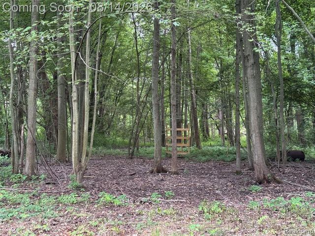 28747 West Road, New Boston, MI 48164