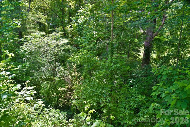 115 Wicklow Drive, Asheville, NC 28806