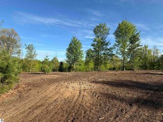 1029 E Solaris Way, Maple City, MI 49664