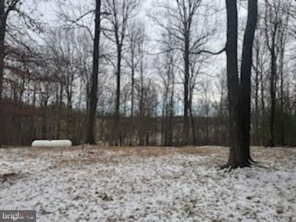 Image 20 of property listing at 4520 FREE STATE RD, Marshall, VA 20115