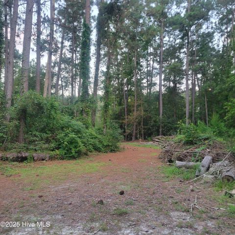 6816 Nc Hwy. 53 E, Burgaw, NC 28425