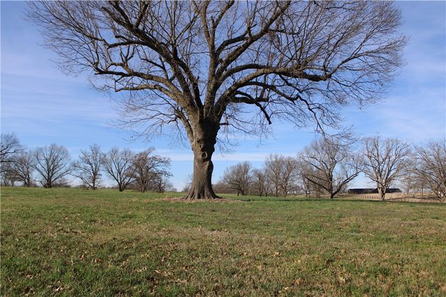 Lot 8 Northern Trace Way, Tontitown, AR 72762