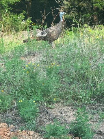 14753 Cove Creek Road N, Prairie Grove, AR 72753