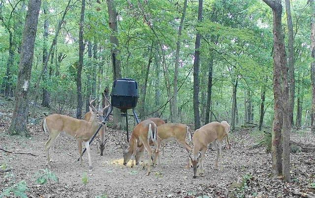 14753 Cove Creek Road N, Prairie Grove, AR 72753