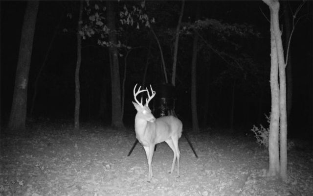 14753 Cove Creek Road N, Prairie Grove, AR 72753