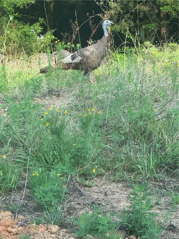 14753 Cove Creek Road N, Prairie Grove, AR 72753