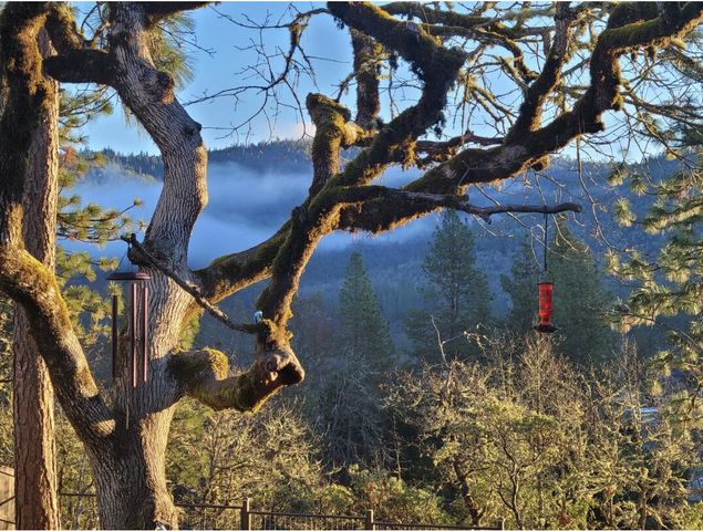 217 White Oak Way, Shady Cove, OR 97539