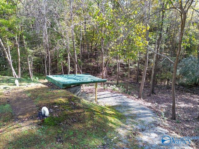 4202A Gault Avenue S, Fort Payne, AL 35967