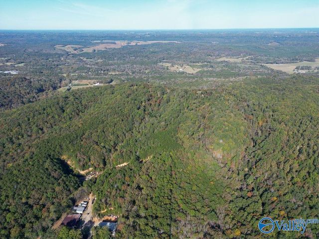 4202A Gault Avenue S, Fort Payne, AL 35967