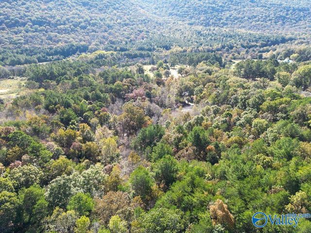 4202A Gault Avenue S, Fort Payne, AL 35967