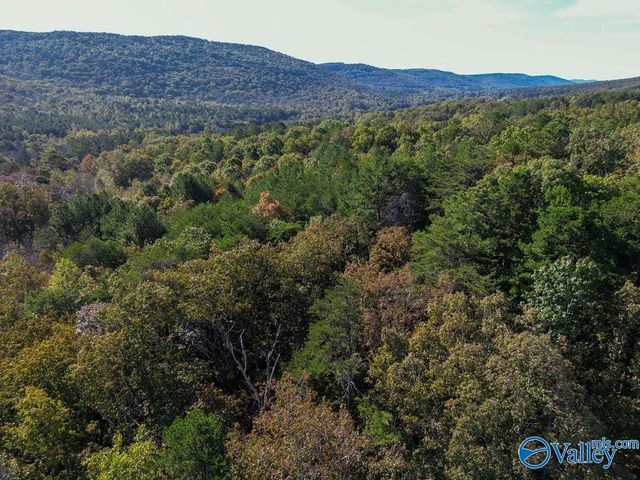 4202A Gault Avenue S, Fort Payne, AL 35967