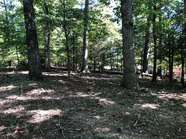 3287 Green Ridge RD, Roanoke, VA 24019