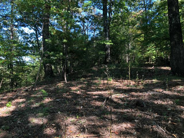 3287 Green Ridge RD, Roanoke, VA 24019