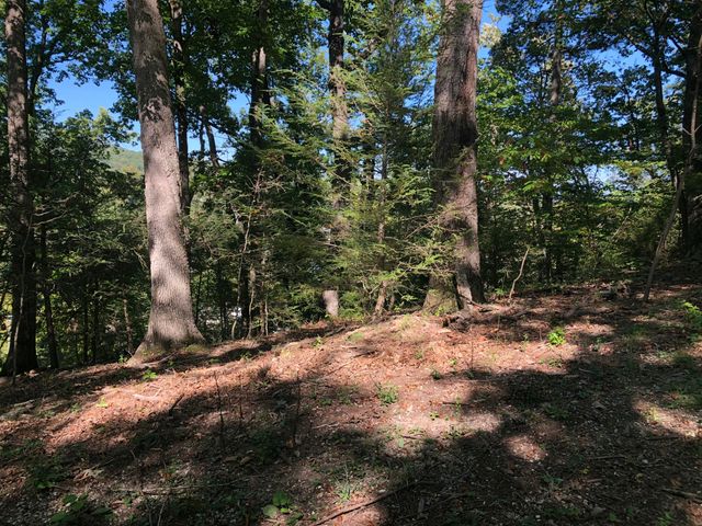 3287 Green Ridge RD, Roanoke, VA 24019