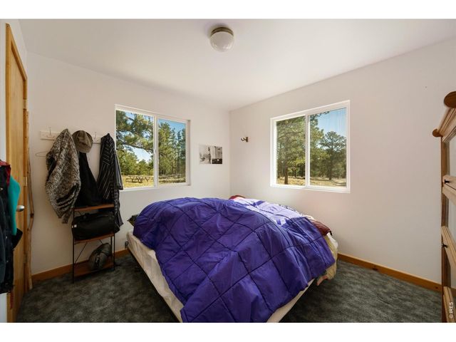 255 Elk Park Rd, Livermore, CO 80536
