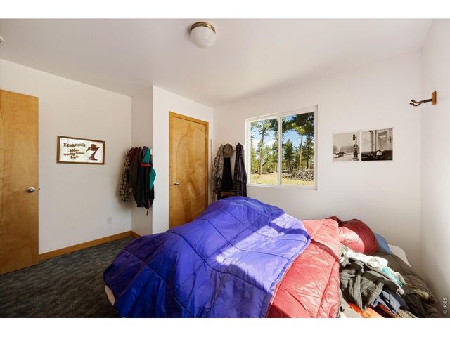 255 Elk Park Rd, Livermore, CO 80536