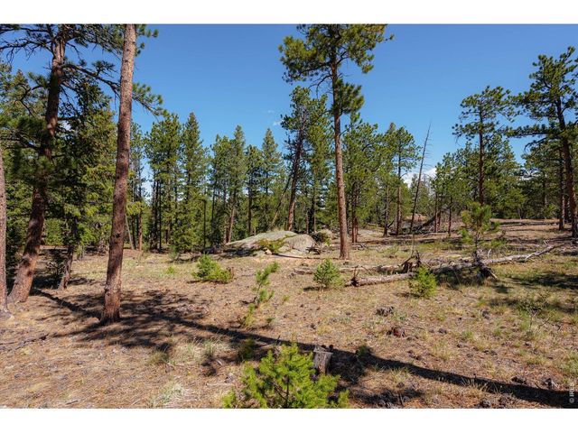 255 Elk Park Rd, Livermore, CO 80536