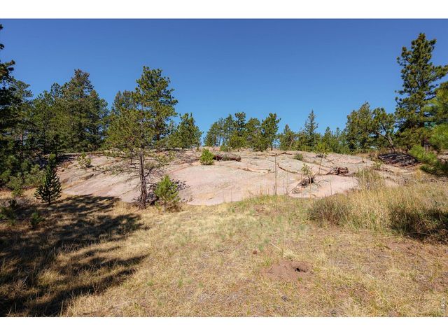 255 Elk Park Rd, Livermore, CO 80536