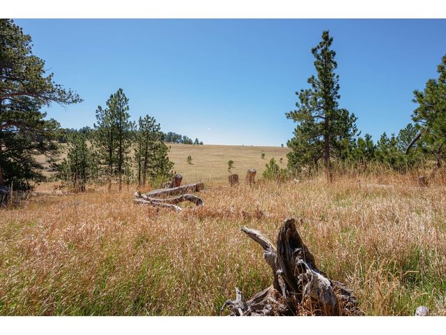 255 Elk Park Rd, Livermore, CO 80536