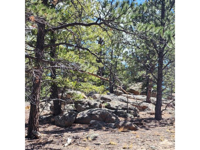 255 Elk Park Rd, Livermore, CO 80536