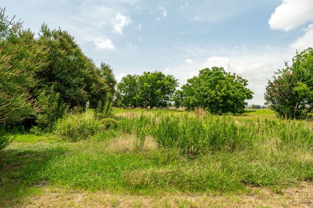 959 N Coleman Street, Prosper, TX 75078