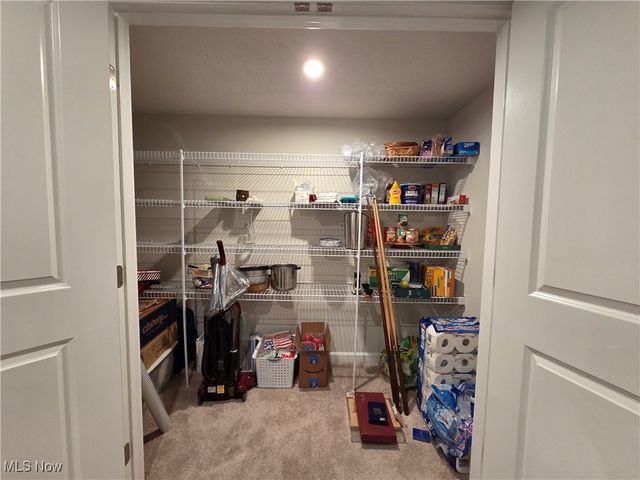 12584 Caribou Court, Columbia Station, OH 44028