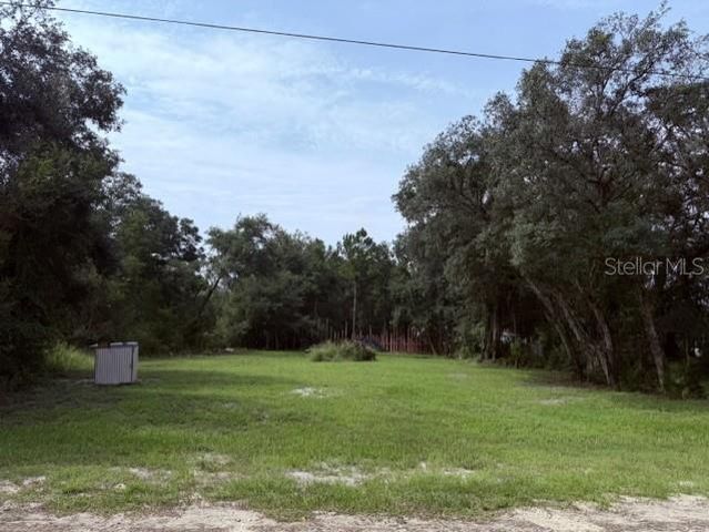 35356 KRAMER STREET, Webster, FL 33597