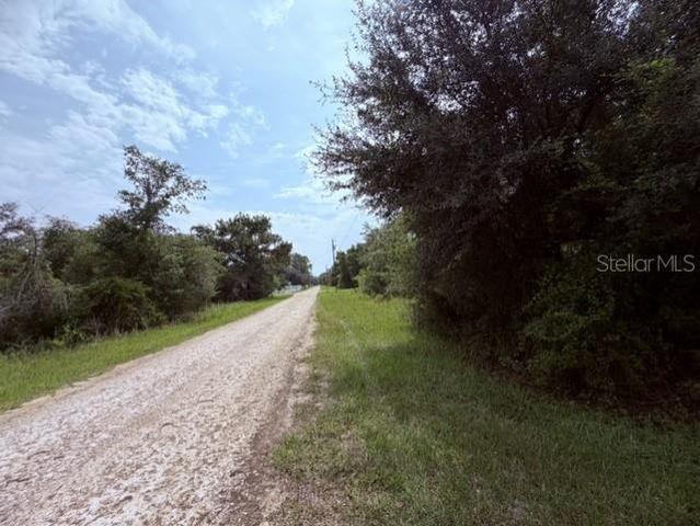 35356 KRAMER STREET, Webster, FL 33597