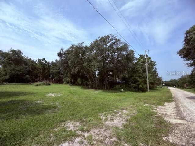 35356 KRAMER STREET, Webster, FL 33597