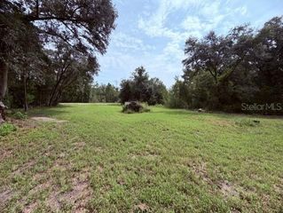 35356 KRAMER STREET, Webster, FL 33597