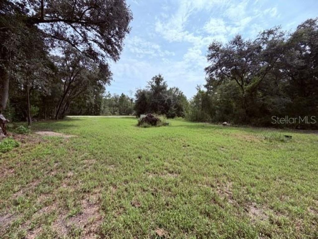 35356 KRAMER STREET, Webster, FL 33597